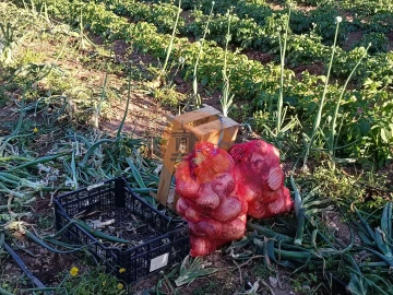 Terreno para Venda em Castro Marim