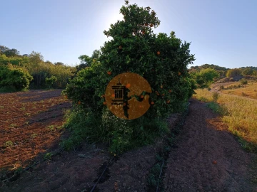 Terreno para Venda em Castro Marim