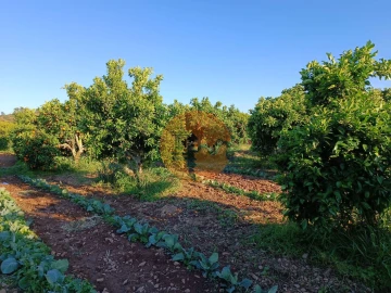 Terreno para Venda em Castro Marim