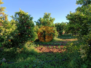 Terreno para Venda em Castro Marim