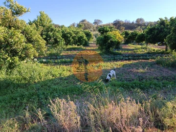 Terreno para Venda em Castro Marim