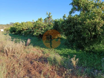 Terreno para Venda em Castro Marim