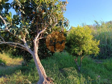 Terreno para Venda em Castro Marim