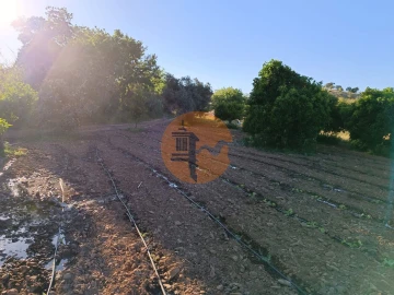 Terreno para Venda em Castro Marim