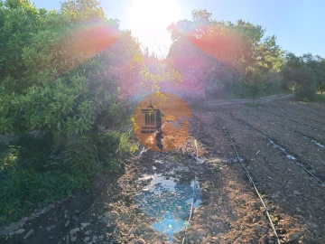 Terreno para Venda em Castro Marim