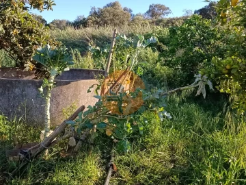Terreno para Venda em Castro Marim