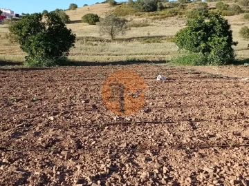 Terreno para Venda em Castro Marim