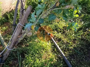 Terreno para Venda em Castro Marim