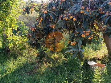 Terreno para Venda em Castro Marim
