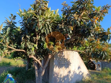 Terreno para Venda em Castro Marim