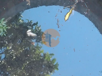 Terreno para Venda em Castro Marim