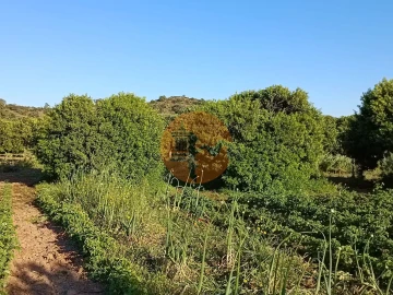 Terreno para Venda em Castro Marim