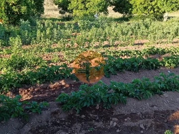 Terreno para Venda em Castro Marim