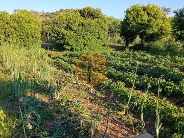 Terreno para Venda em Castro Marim