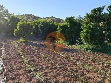 Terreno para Venda em Castro Marim