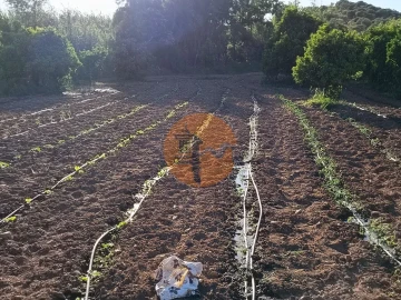 Terreno para Venda em Castro Marim