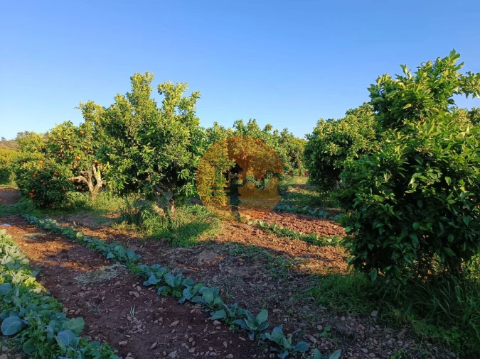 Terreno para Venda em Castro Marim Foto 14