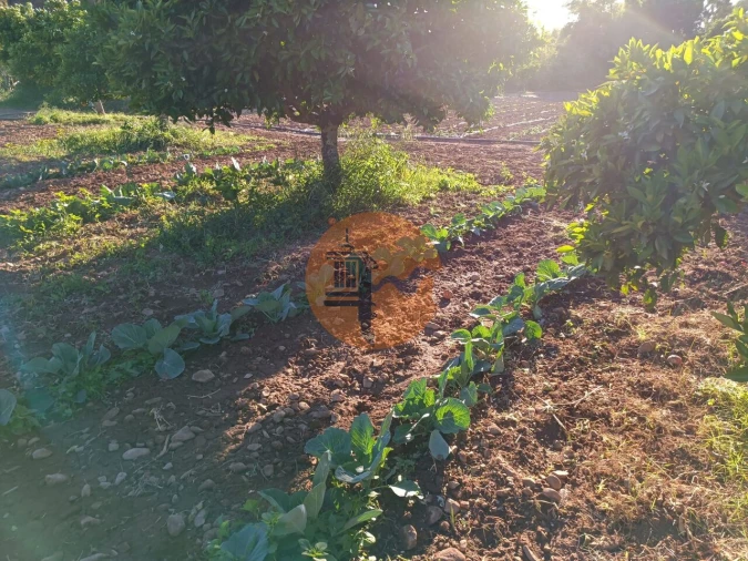 Terreno para Venda em Castro Marim Foto 16