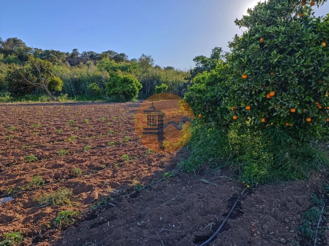 Terreno para Venda em Castro Marim Foto 17