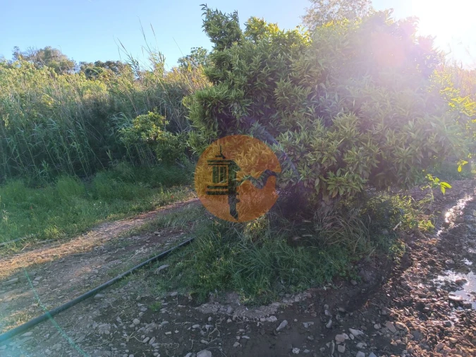 Terreno para Venda em Castro Marim Foto 29