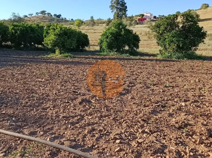 Terreno para Venda em Castro Marim Foto 34