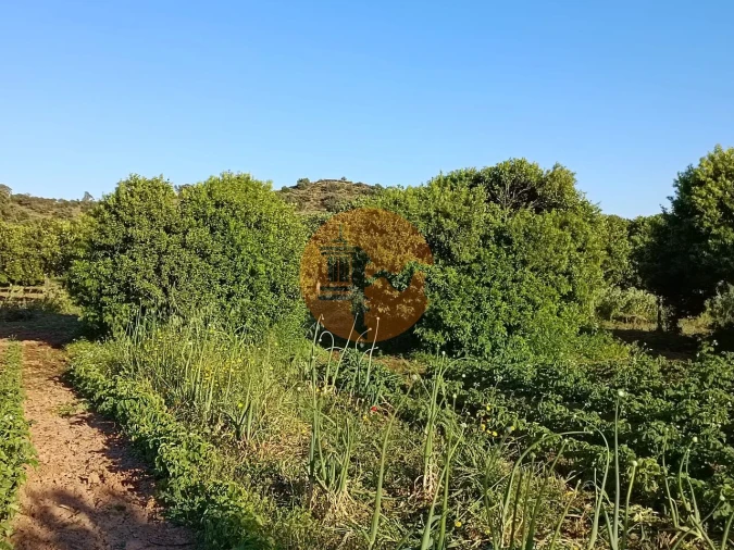Terreno para Venda em Castro Marim Foto 43