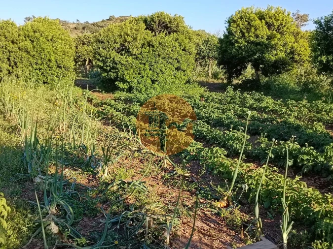 Terreno para Venda em Castro Marim Foto 47