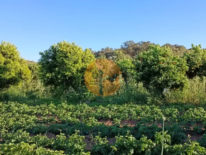 Terreno para Venda em Castro Marim Foto 49