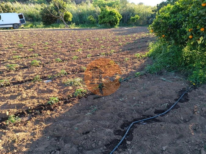 Terreno para Venda em Castro Marim Foto 52