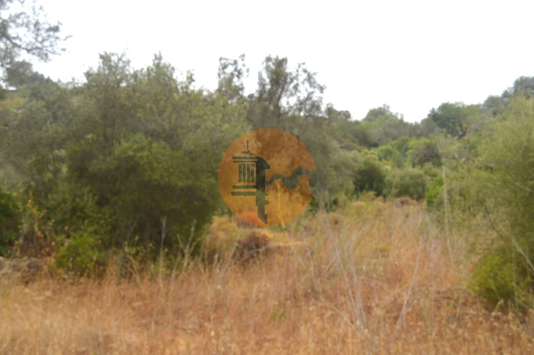 Terreno para Venda em Santa Catarina da Fonte do Bispo Foto 5