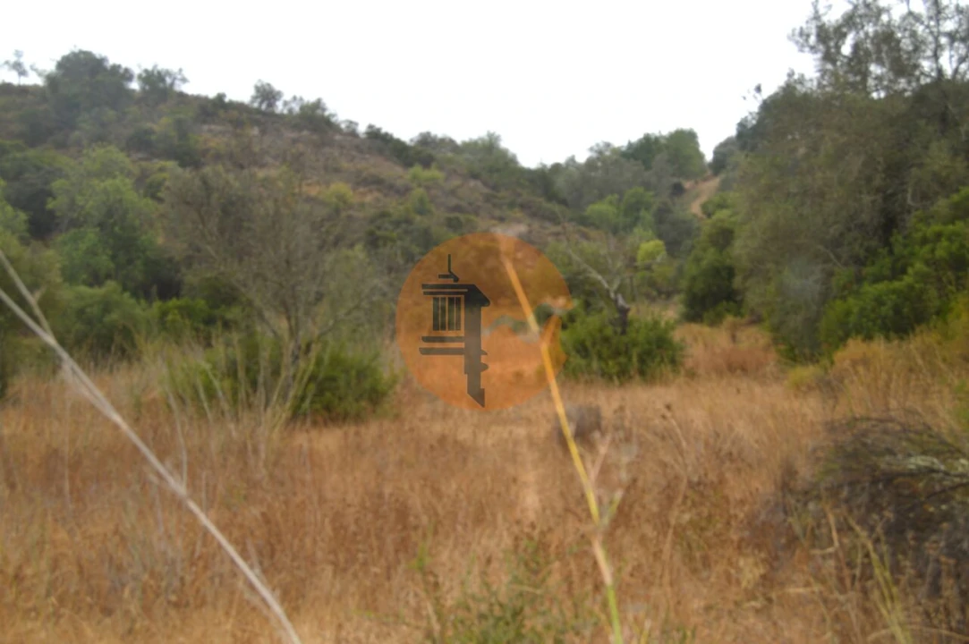 Terreno para Venda em Santa Catarina da Fonte do Bispo Foto 7
