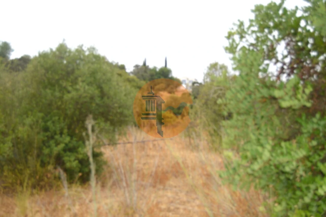 Terreno para Venda em Santa Catarina da Fonte do Bispo Foto 9