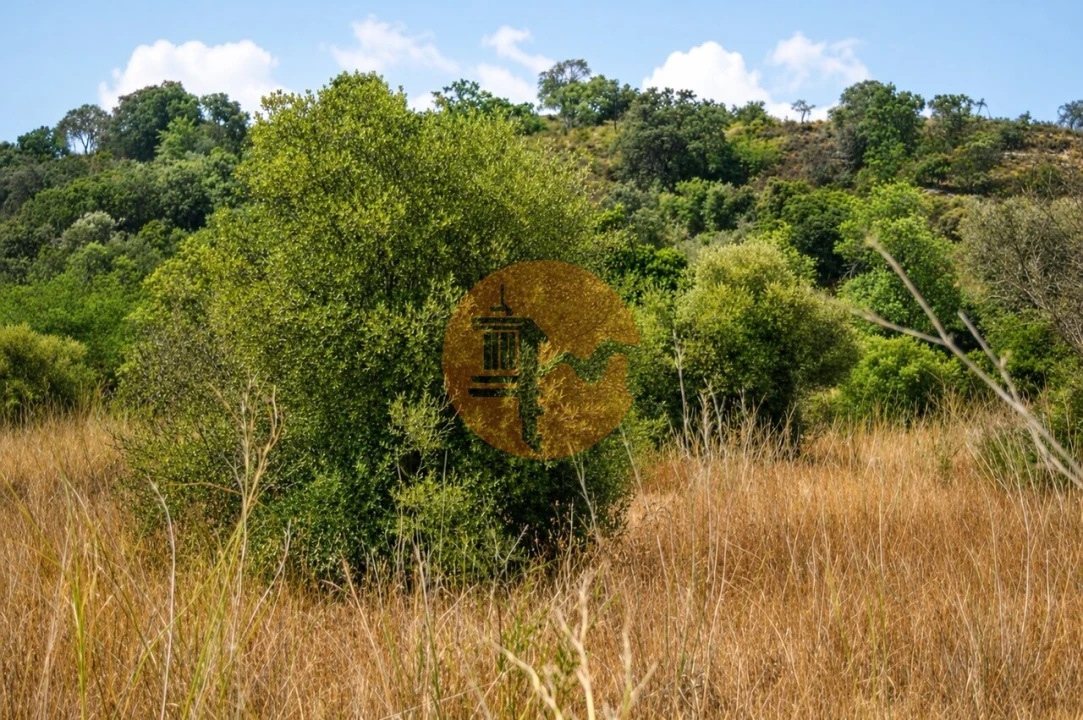 Terreno para Venda em Santa Catarina da Fonte do Bispo Foto 5