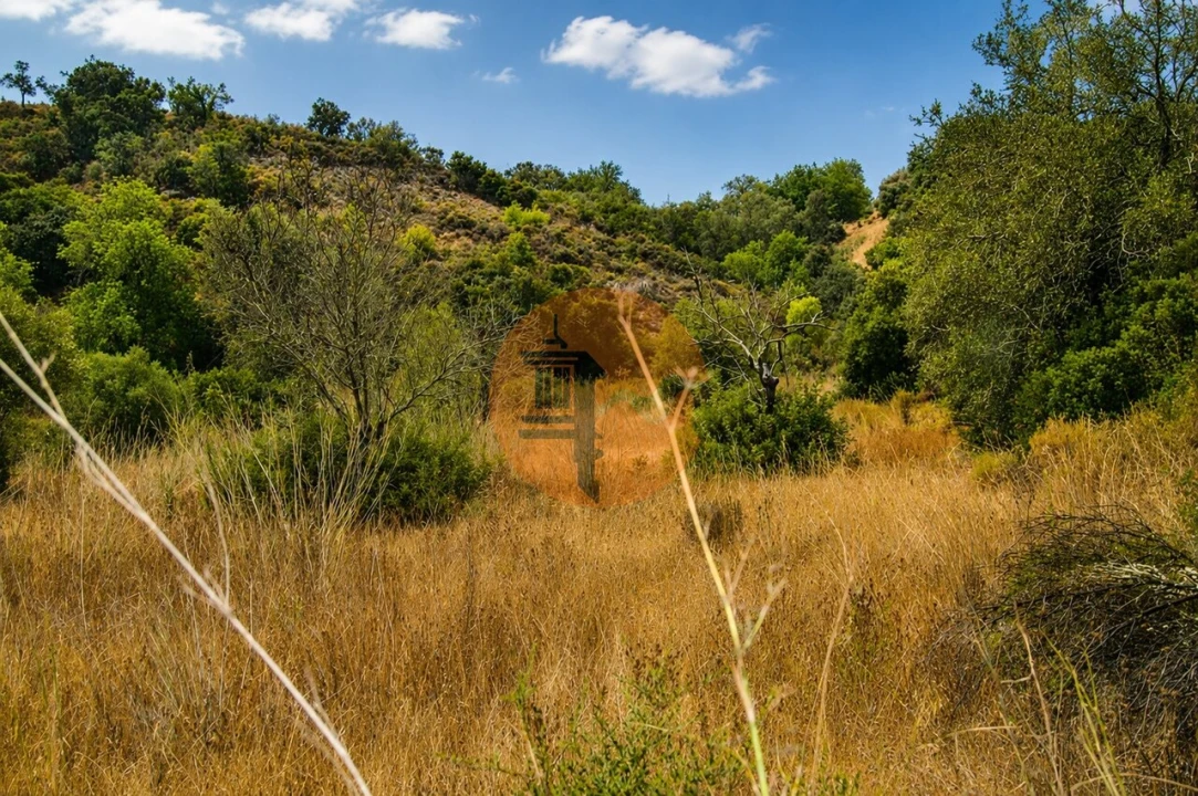 Terreno para Venda em Santa Catarina da Fonte do Bispo Foto 6
