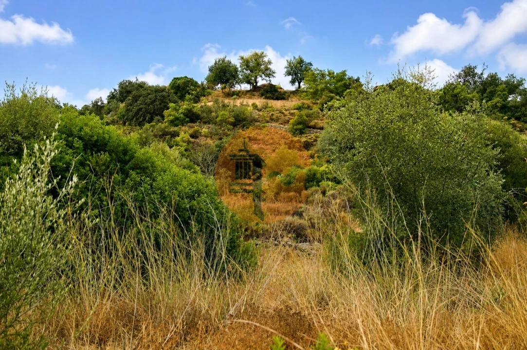 Terreno para Venda em Santa Catarina da Fonte do Bispo Foto 9