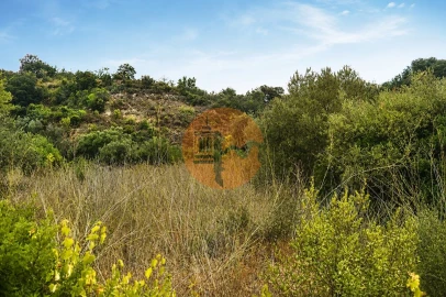Terreno para Venda em Santa Catarina da Fonte do Bispo