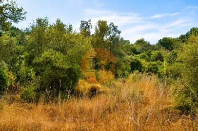 Terreno para Venda em Santa Catarina da Fonte do Bispo