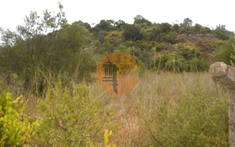 Terreno para Venda em Santa Catarina da Fonte do Bispo Foto 2