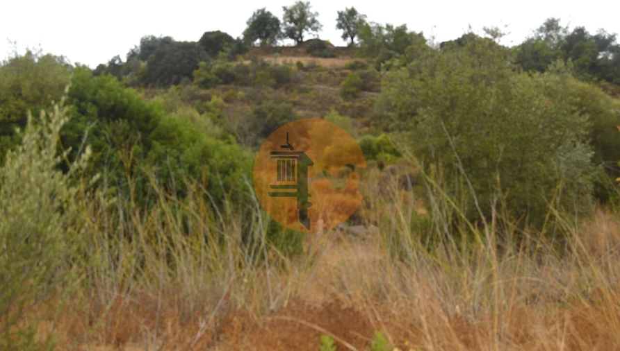Terreno para Venda em Santa Catarina da Fonte do Bispo Foto 3