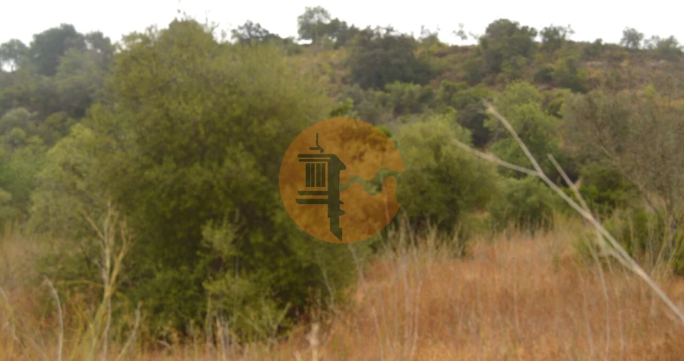 Terreno para Venda em Santa Catarina da Fonte do Bispo Foto 6