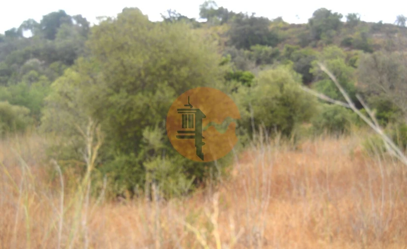 Terreno para Venda em Santa Catarina da Fonte do Bispo Foto 8