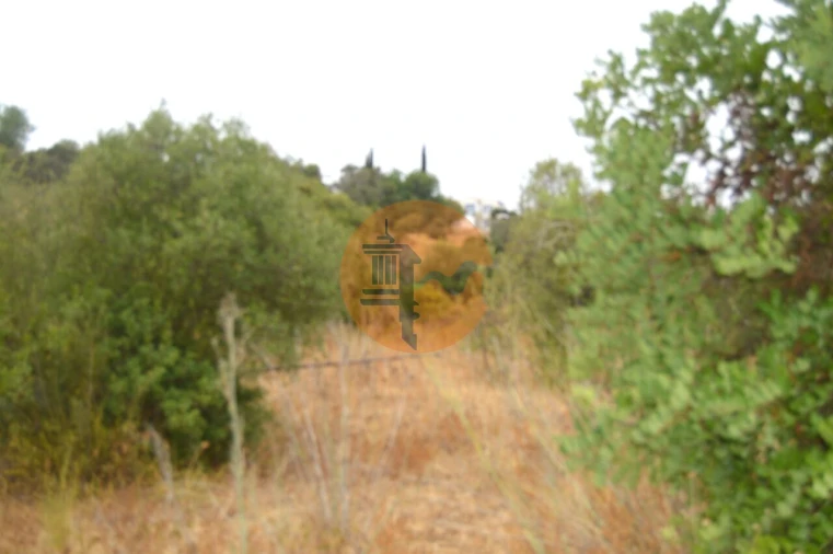 Terreno para Venda em Santa Catarina da Fonte do Bispo Foto 9