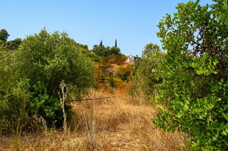 Terreno para Venda em Santa Catarina da Fonte do Bispo Foto 3