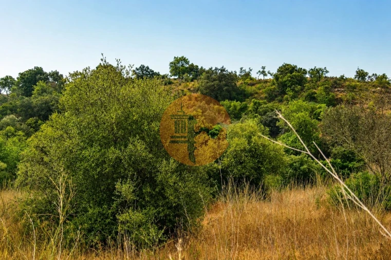 Terreno para Venda em Santa Catarina da Fonte do Bispo Foto 4