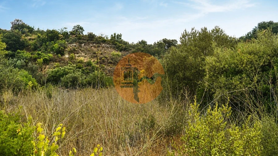Terreno para Venda em Santa Catarina da Fonte do Bispo