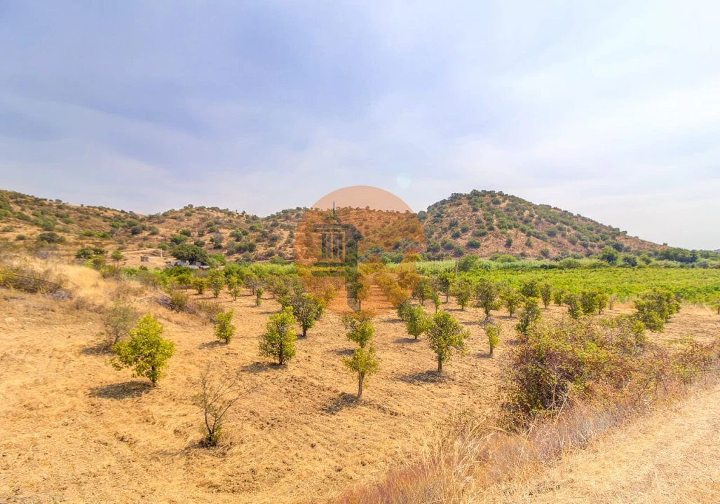 Quinta T3 para Venda em Castro Marim Foto 37