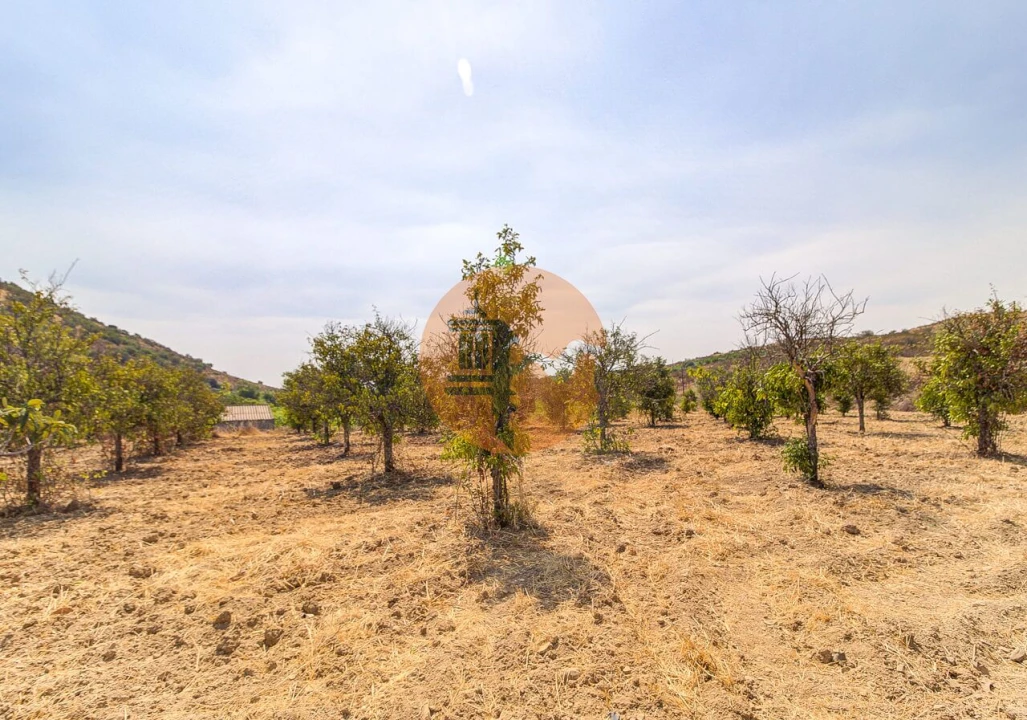 Quinta T3 para Venda em Castro Marim Foto 39