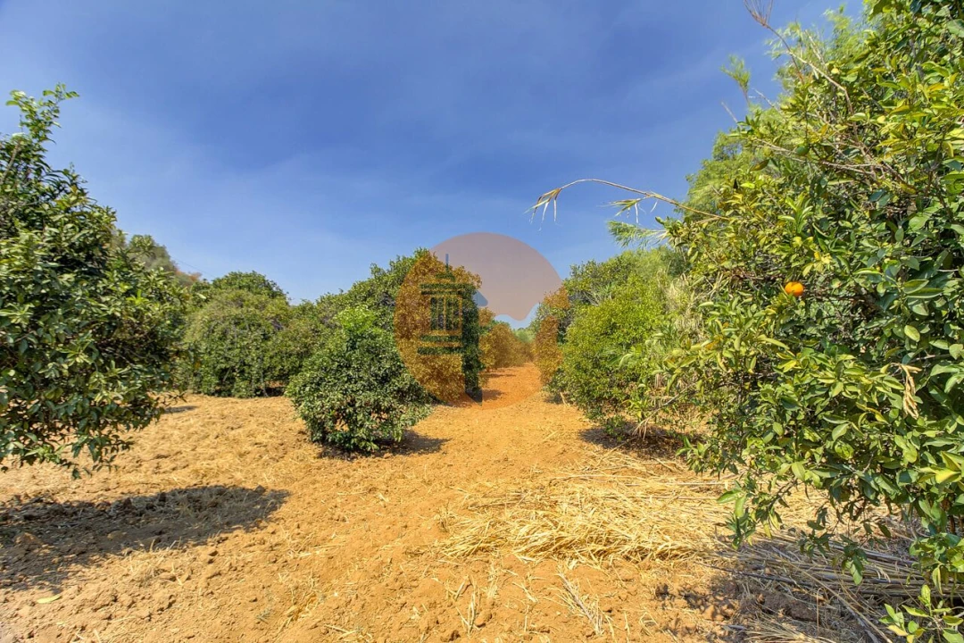 Quinta T3 para Venda em Castro Marim Foto 44