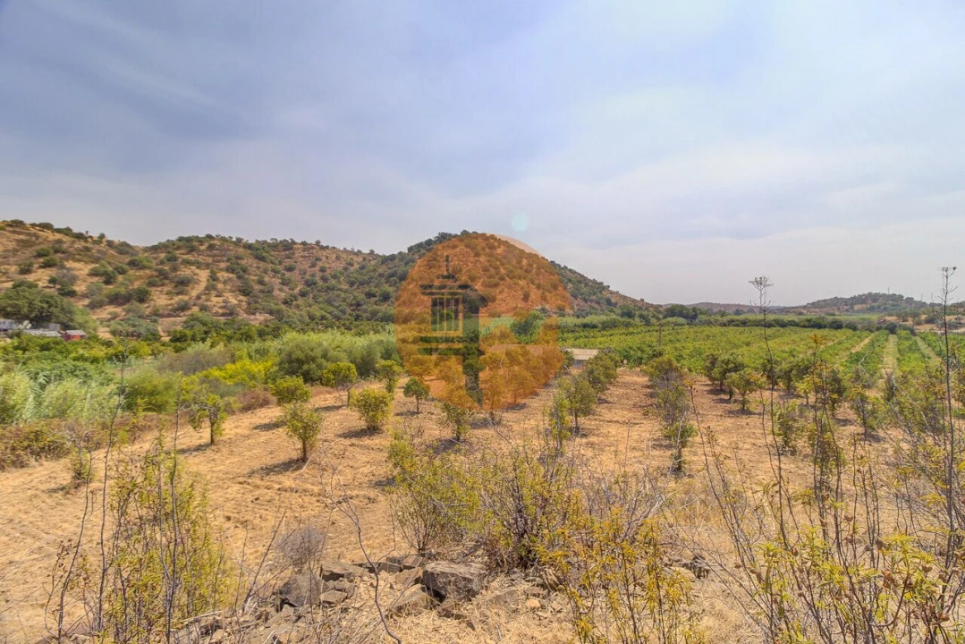 Quinta T3 para Venda em Castro Marim Foto 38