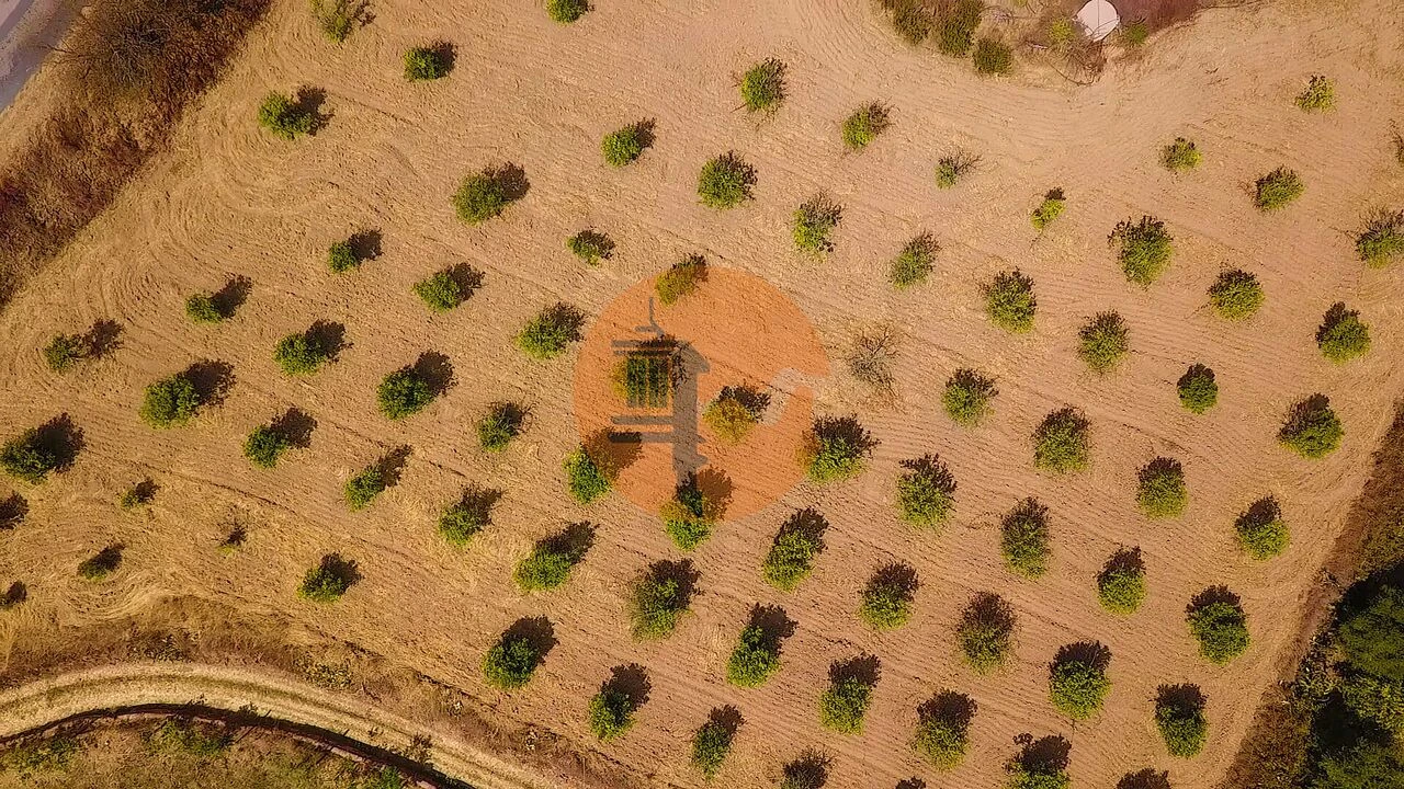 Quinta T3 para Venda em Castro Marim Foto 35